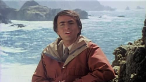 The Shores of the Cosmic Ocean